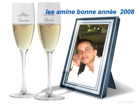 lee amine  2008