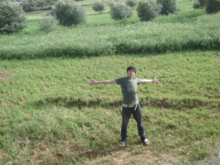 @@@@@�++++++++++++++++++++++++++aminos